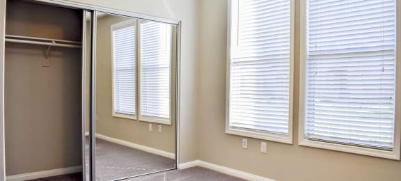 view of mirrored closet doors in a bedroom with well lit windows and carpet flooring