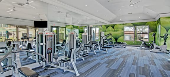 Fitness Center at Andante Apartments, Arizona, 85048