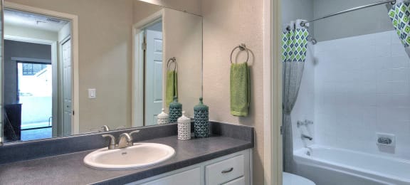 Upgraded Bathroom Vanities at Elevate at Discovery Park, 1820 East Bell De Mar Drive