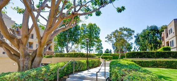 Greenery at Nobel Court, California