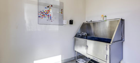 dog wash station with a painting of a dog on the wall