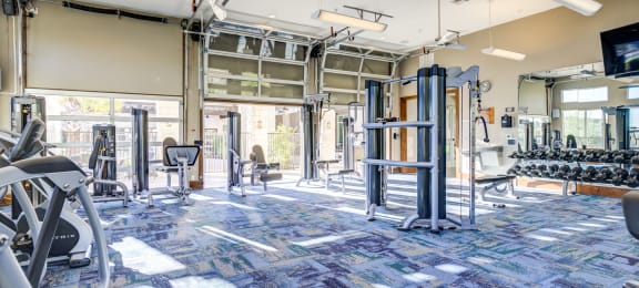 a gym with weights and cardio machines and a tv