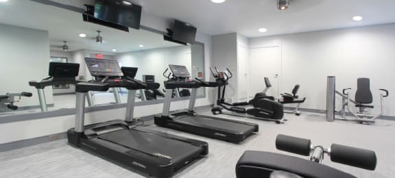 Newly remodeled Fitness Center open 24/7 with brand new Life Fitness equipment including 1 peloton bike, 4 resistance machines, 2 treadmills, 1 life cycle, 1 elliptical, full rack of free weights and dumbbells and water bottle refill fountain.