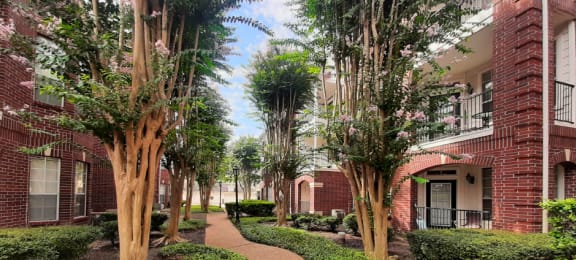 Luxury apartments with brick exteriors and lush landscaping including beautiful chaste trees at Tuscany Apartments in Houston.