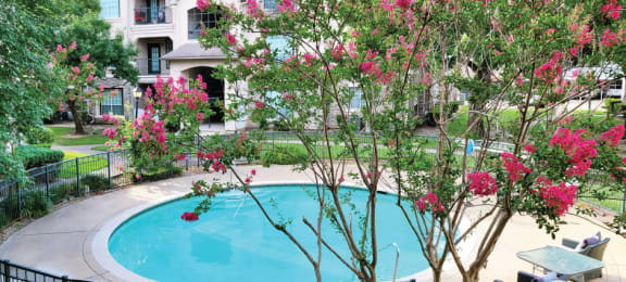 Luxury resort-style swimming pool with poolside lounges chairs, beautiful landscaping, lush landscaping and scenic views at Village on the Parkway Apartments.