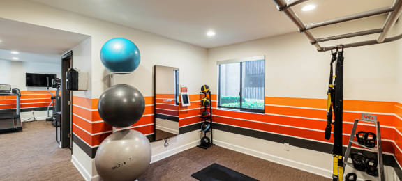 Fitness room with exercise balls