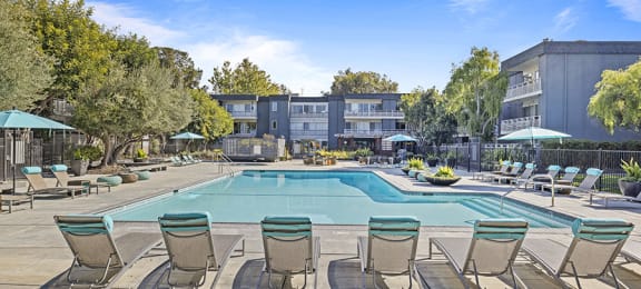 Sunnyvale, CA Apartments for Rent - Citra - Sparkling Pool, Sun Lounge Chairs, and Exterior View of Building