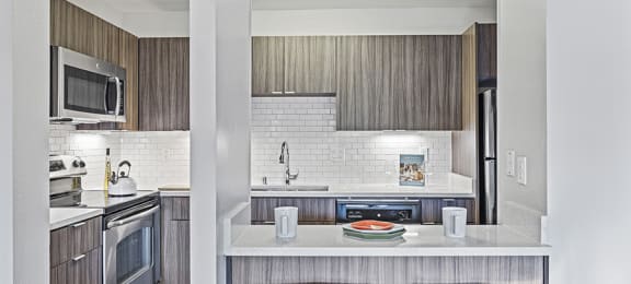 Apartments for Rent in Sunnyvale, CA - Citra - Stainless-Steel Appliances, Grey Cabinets, and Quartz Countertops