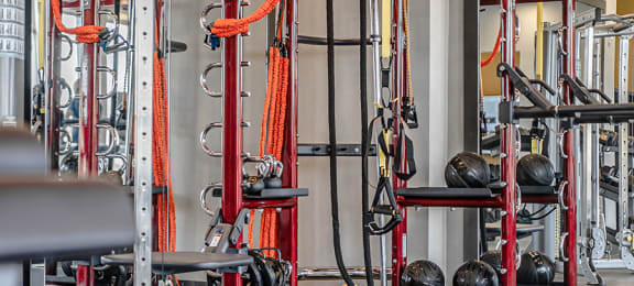 Gym with strength equipment 