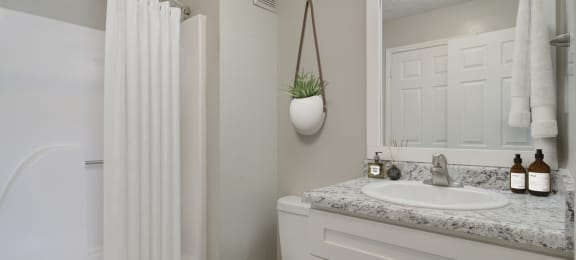 Place at Midway Douglasville GA apartments photo of  renovated bathroom
