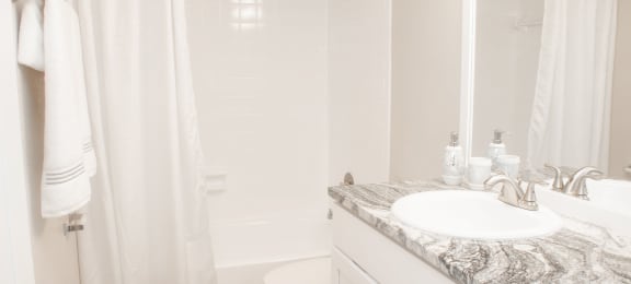 The Element at River Pointe apartments in Jacksonville Florida photo of bathroom