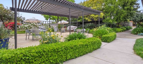 Fremont Apartments - Logan Park - Grill Area with Pergola, Tables, Chairs, Umbrellas, Trees, and BBQs