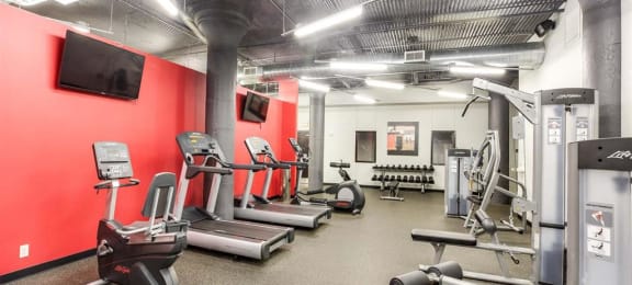 free weights and weighted machines in fitness center