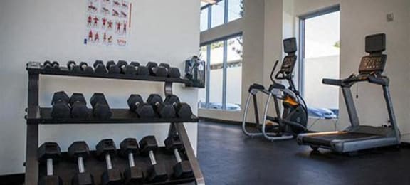 fitness center- free weights, cardio machines