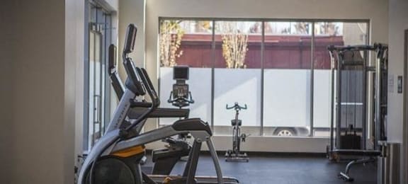 fitness center- cardio machines, weighted machines