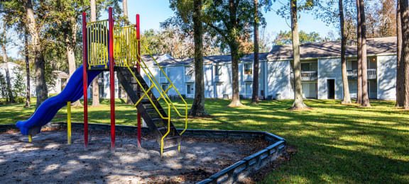 The Element at River Pointe apartments in Jacksonville Florida photo of playground