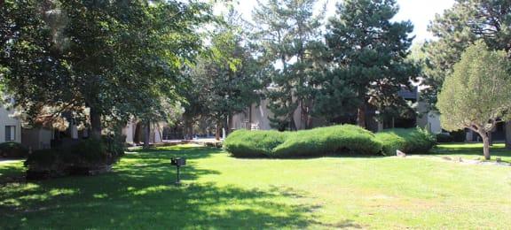 a grassy area with trees and bushes in front of a building