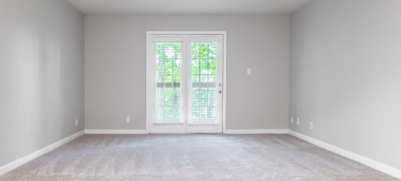 a bedroom with gray walls and a white carpet