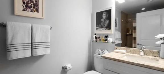 Bathroom at Wells Place Apartments, Chicago, Illinois