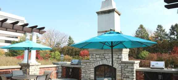 Outdoor Lounge w Fireplace & Grills at Regency Place, Oakbrook Terrace, IL, 60181