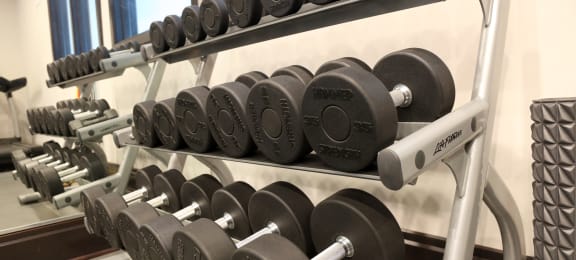 Fitness w/ free weights at Regency Place, Oakbrook Terrace, 60181