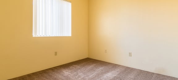 Spacious master bedroom with large window and brown carpet