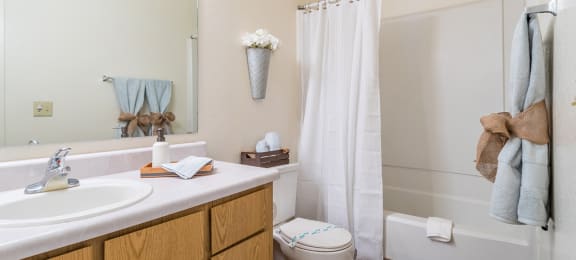 Canyon creek bathroom with shower tub combo and sink