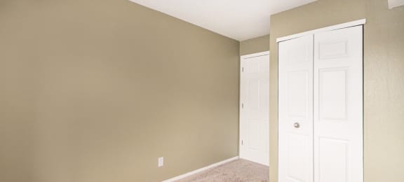 a bedroom with two closets and a carpeted floor