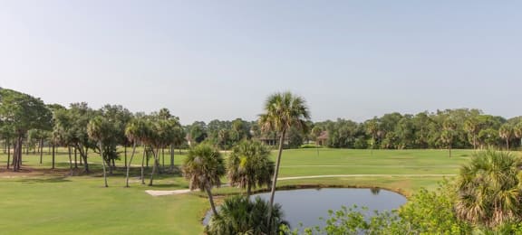 Pond Surrounded by Natural View at Ventura at Turtle Creek, Rockledge, FL, 32955
