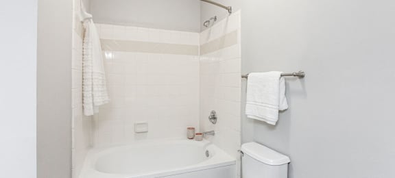 Renovated 1 Bedroom Bathroom, at Preserve at Mill Creek, Buford, GA 30519