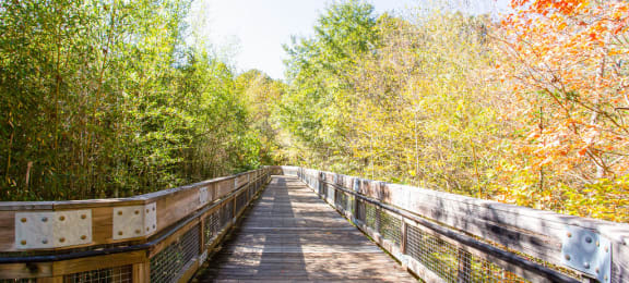 Ivy Creek Greenway Nature Walk, at Preserve at Mill Creek, Buford, GA 30519