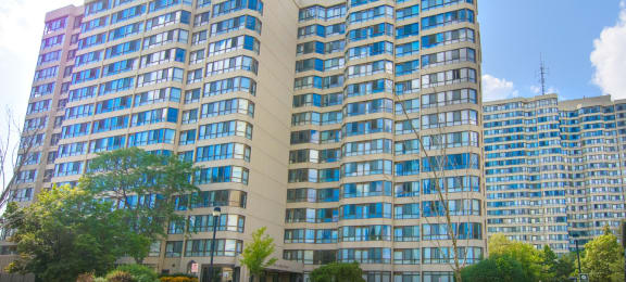 Photos and Video of Silver Maple Court in Brampton ON