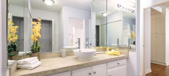 Apartments with Elegant Bathrooms in Santa Ana