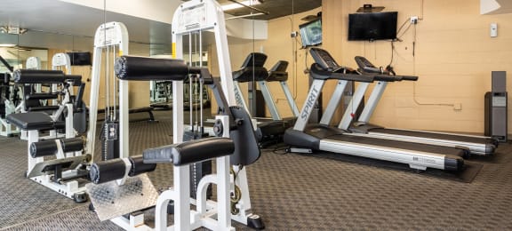a gym with a lot of exercise equipment and a tv on the wall