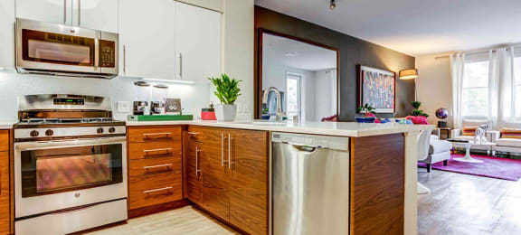 stainless steel appliances in apartment kitchens and wood inspired flooring.