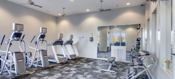 12 South Nashville TN apartments the gym at the enclave at woodbridge apartments in sugar land, tx