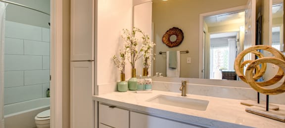 Phoenix, AZ Apartments for Rent - Village at Lakewood Bathroom with Large Vanity and Stainless Steel Fixtures