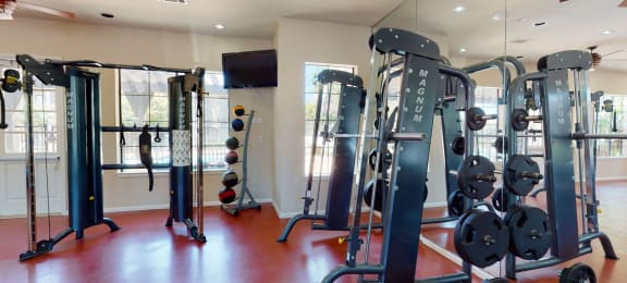 a workout room with a lot of exercise equipment