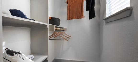 a walk in closet with a pair of shoes on a shelf and a closet organizer
