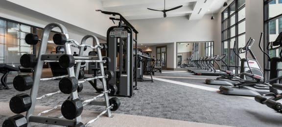 a gym with weights and other exercise equipment on a carpeted floor