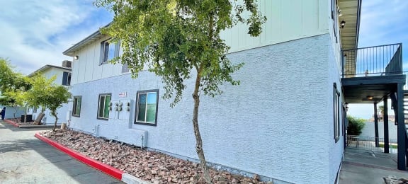 a white building with a tree in front of it