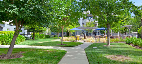 Broadleaf Apartments  |  Trees with Shaded Areas Walk Way