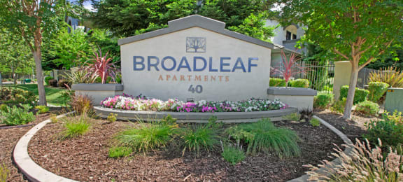 Broadleaf Apartments Monument Sign