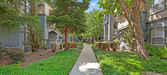 Lush Green Scenery | Apartments for Rent in Sacramento CA | Broadleaf Apartments