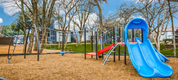 a playground with a blue slide and red slide