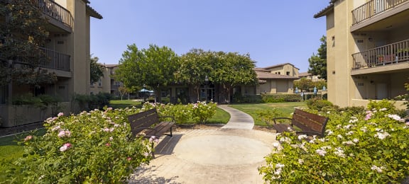 Courtyard benches and roses at 55+ FountainGlen Stevenson Ranch, Stevenson Ranch, CA