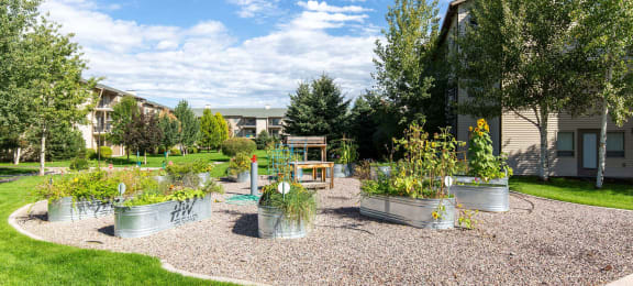 The community gardens at Mullan Reserve Apartments in Missoula, MT