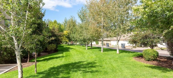 A grassy area with trees and a building in the background at Mullan Reserve Apartments in Missoula, MT