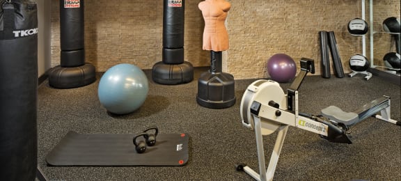 a large fitness room with weights a treadmill and other exercise equipment