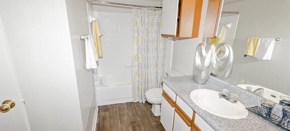 Bathroom with bathtub at Valley Ridge Apartments in Lewisville TX